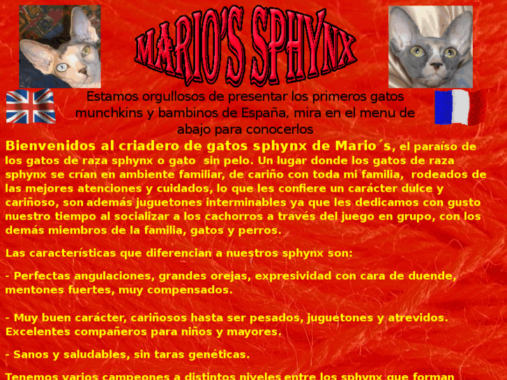 www.gatosphynx.es