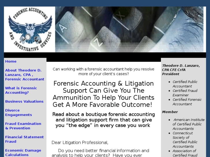 www.fraud-accounting.com