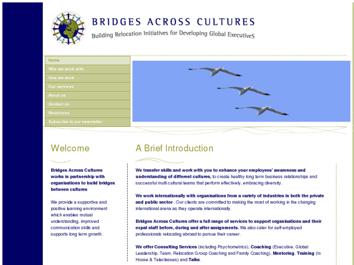 www.bridgesacrosscultures.com