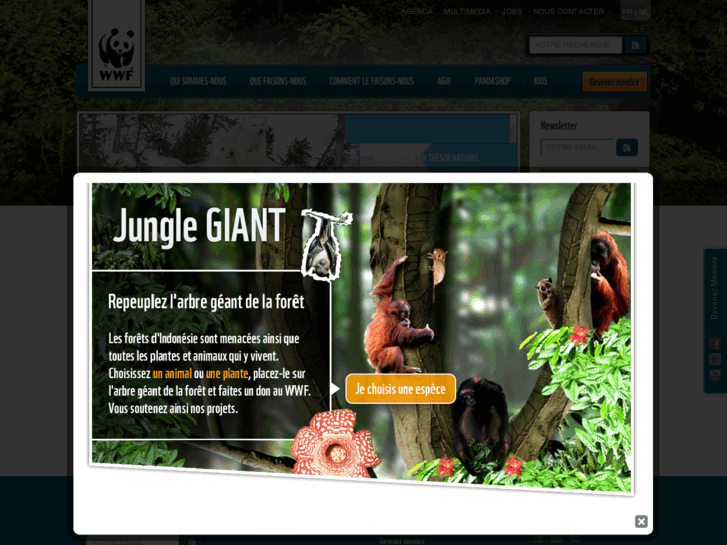 www.wwf.be