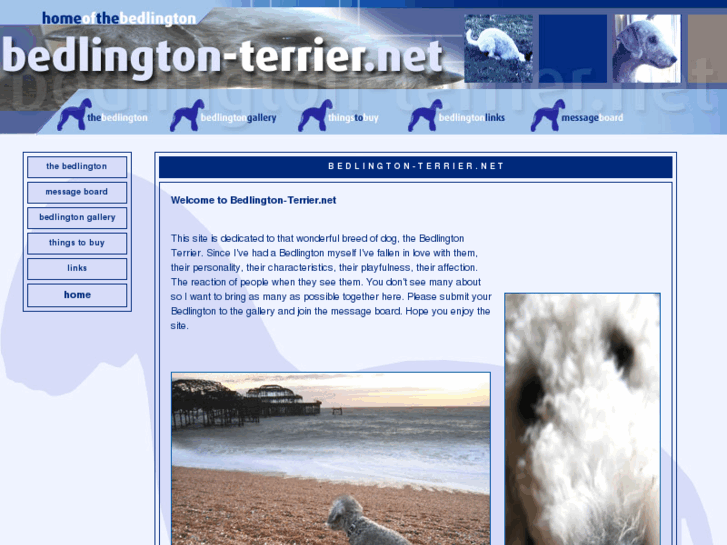 www.bedlington-terrier.net