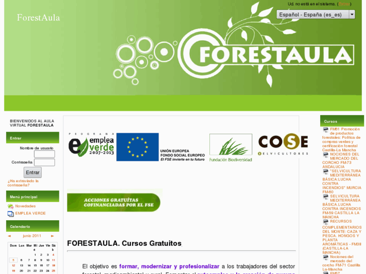 www.forestaula.com