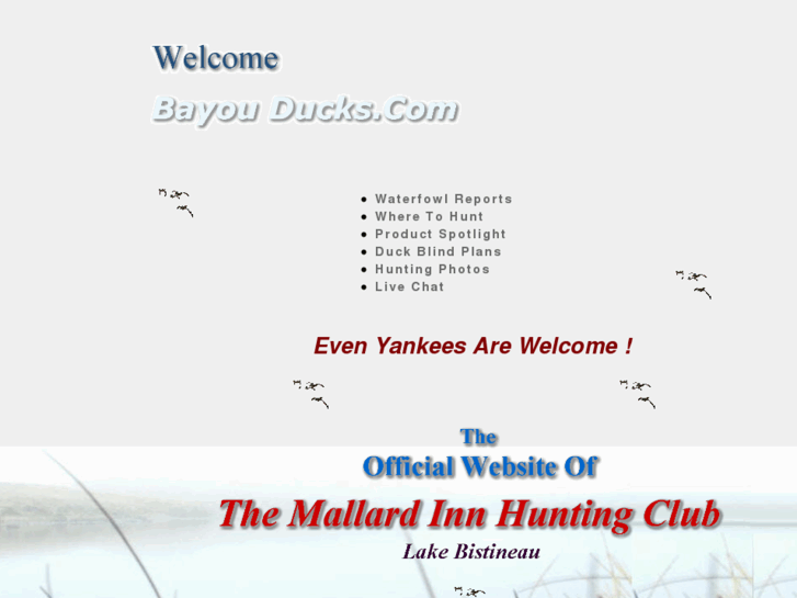 www.bayouducks.com