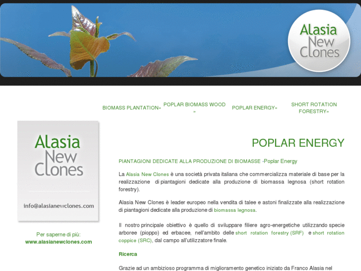 www.poplarenergy.com