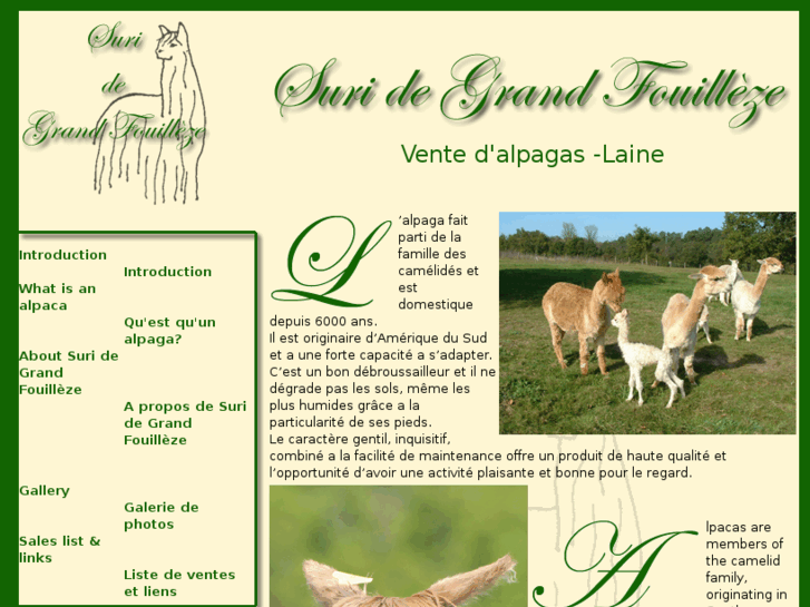 www.suridefrance.com