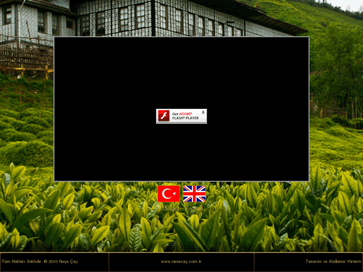 www.nesecay.com