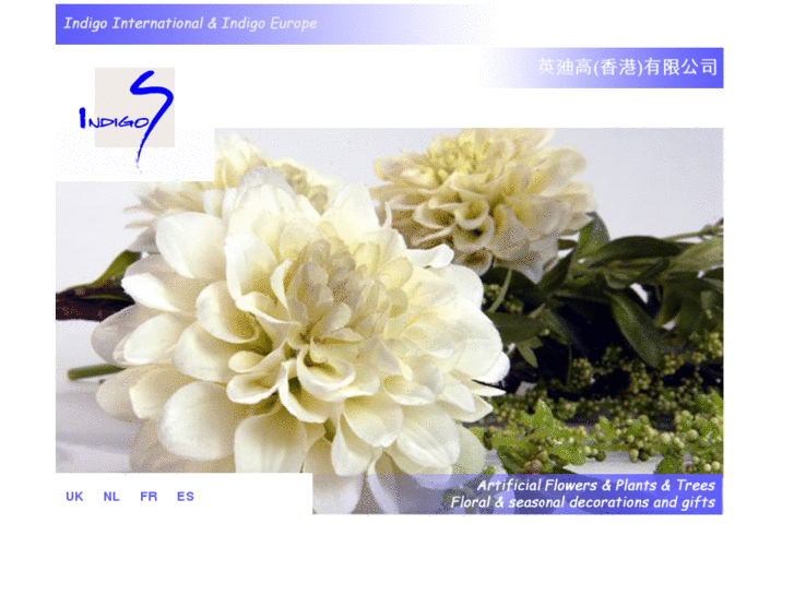 www.indigo-international.com