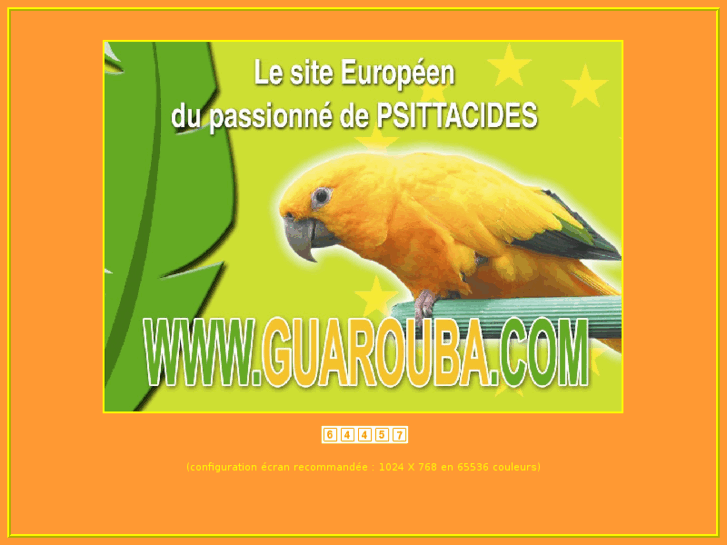 www.guarouba.com