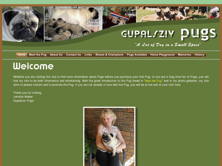www.gupalsziv.com