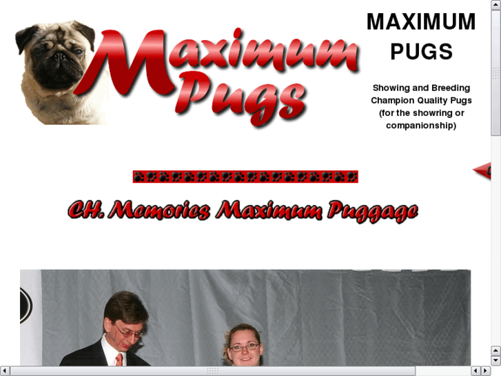 www.maximumpugs.com