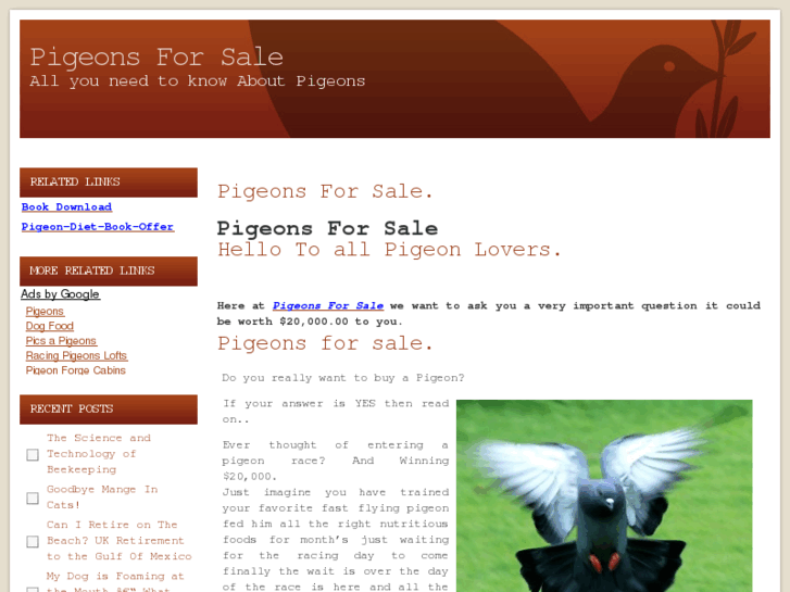 www.pigeonsforsale.org