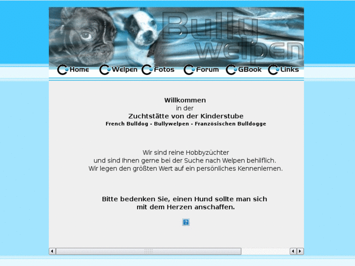 www.bullywelpen.de