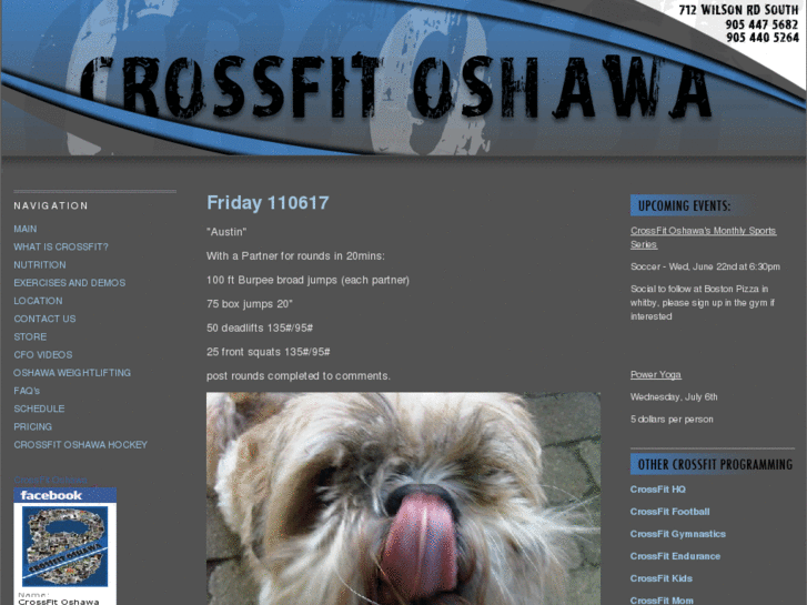 www.crossfitoshawa.com