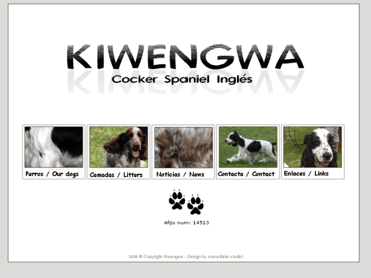 www.kiwengwa.es