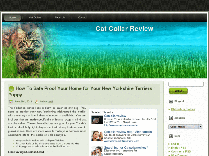 www.catcollarreview.com