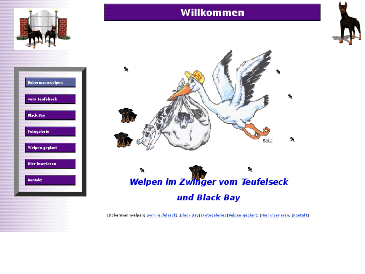 www.dobermannwelpen.com