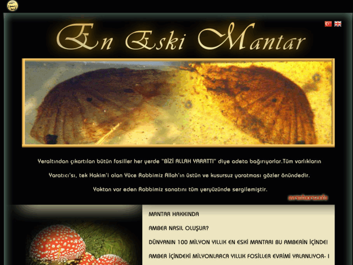 www.eneskimantar.com
