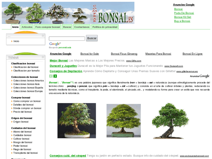 www.comprarbonsai.es