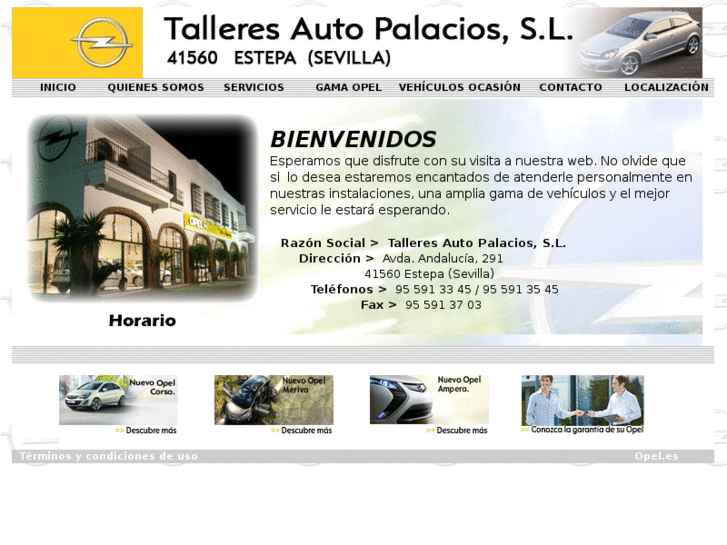www.talleresautopalacios.com