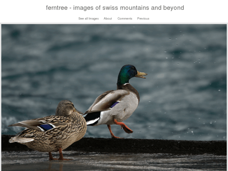 www.ferntree.ch
