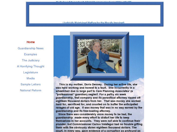 www.guardianshipscam.com