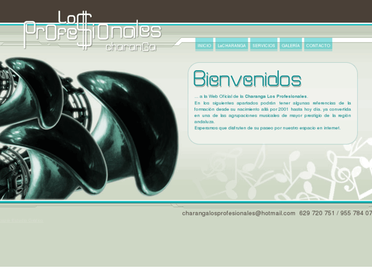 www.losprofesionales.es
