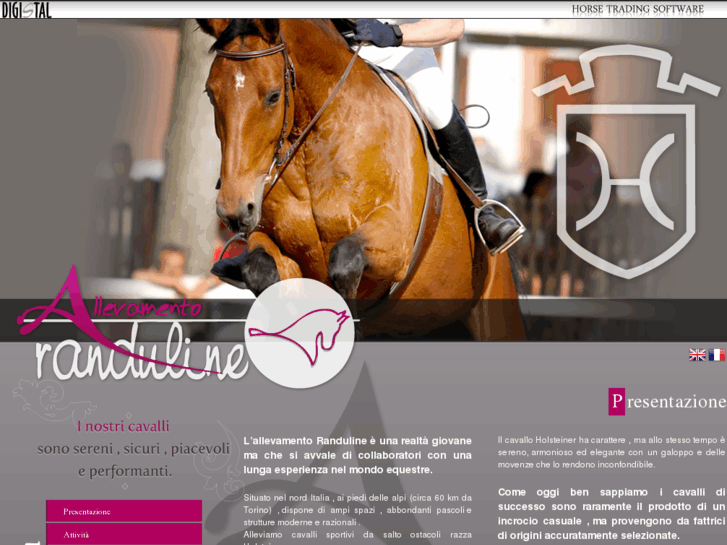 www.allholsteiner.com