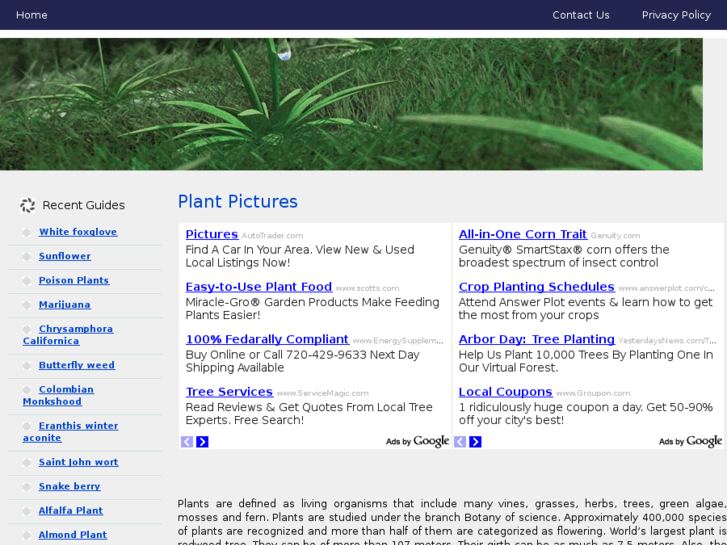 www.plantpictures.net
