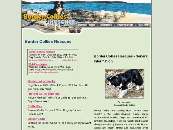 www.border-collies-rescues.com