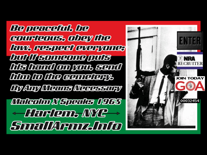 www.smallarmz.info