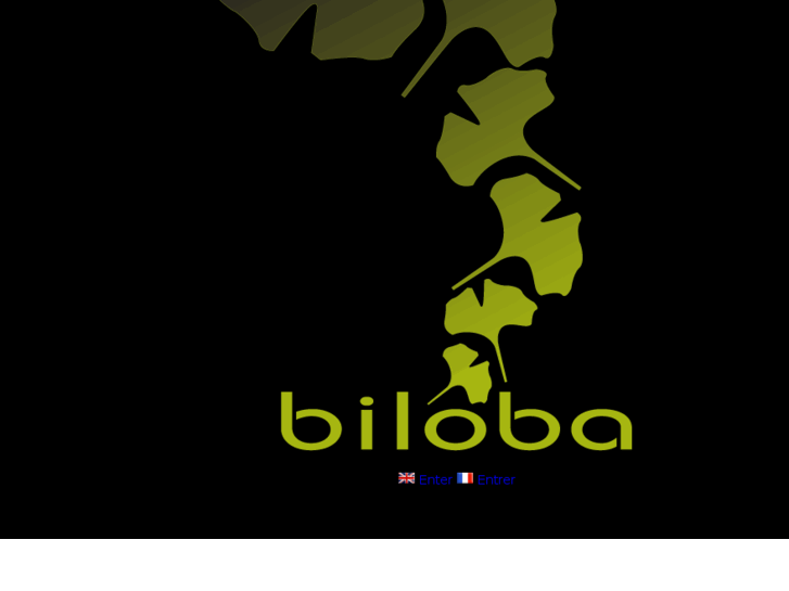 www.bi-loba.com