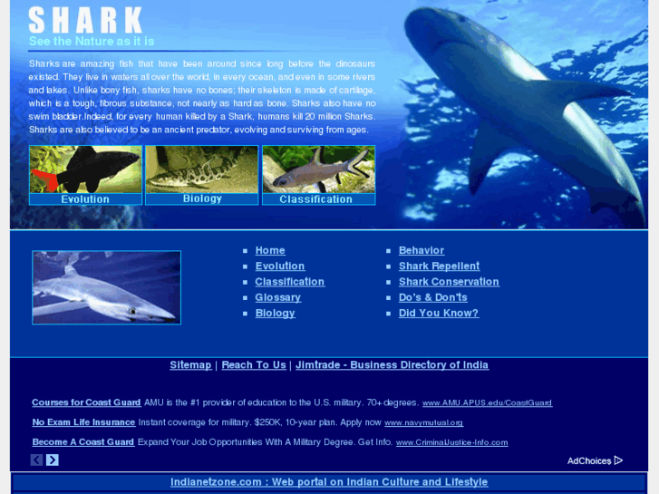 www.worldofsharks.net
