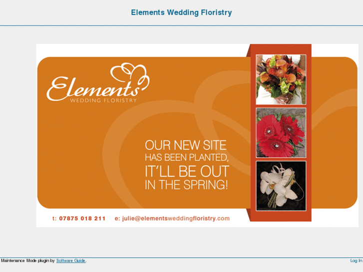 www.elementsweddingfloristry.com