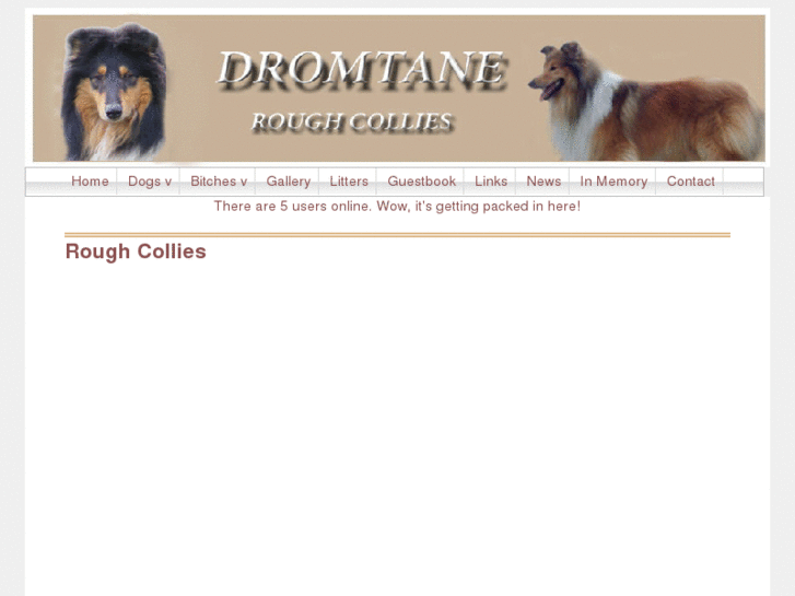 www.dromtane.org