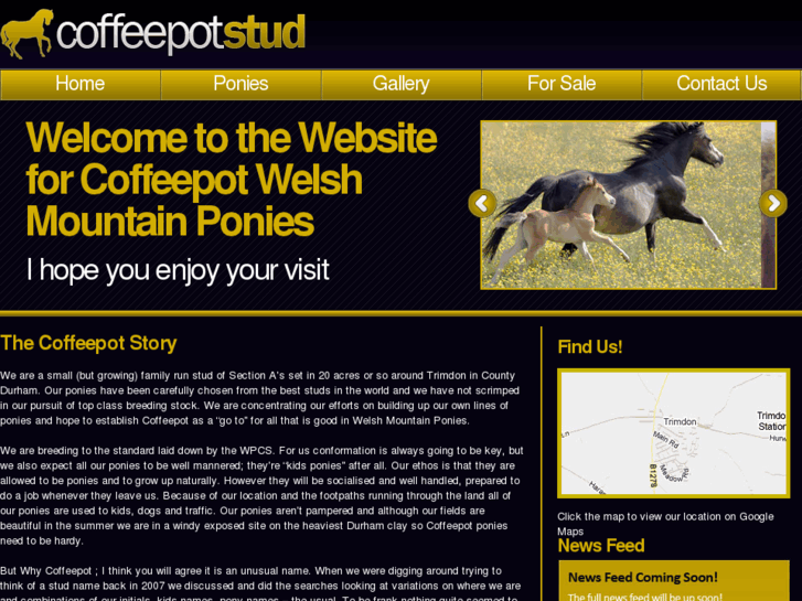 www.coffeepot-stud.com