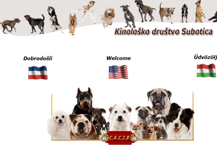 www.kinoloski-su.info