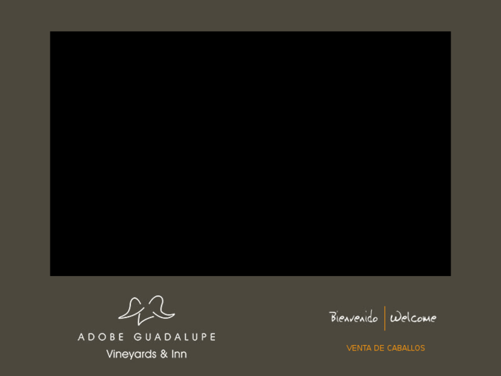 www.adobeguadalupe.com