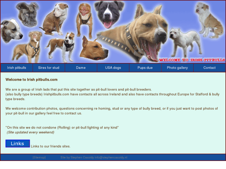 www.irishpitbulls.com