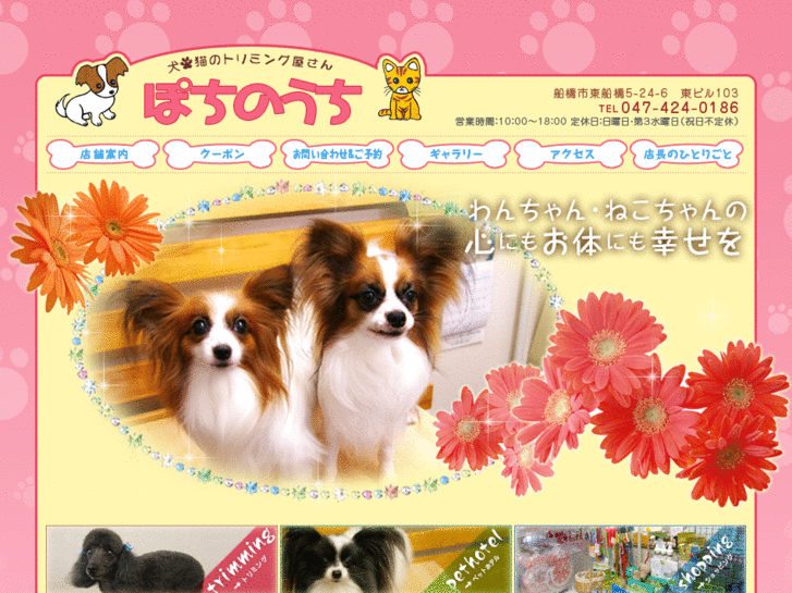 www.pochinouchi.com