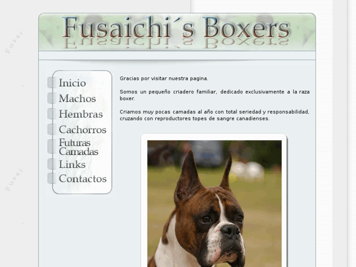 www.fusaichisboxer.com.ar