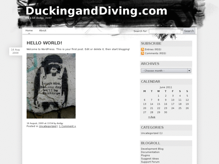 www.duckinganddiving.com