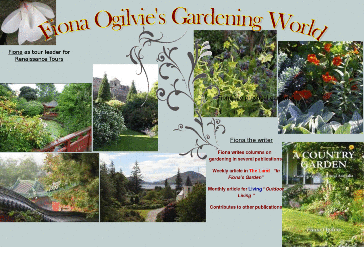 www.fionaogilvie.com
