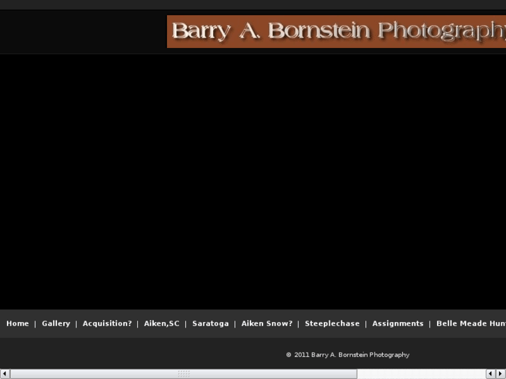 www.barryabornsteinphotography.com