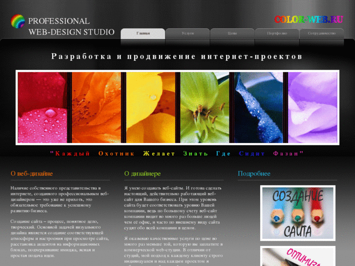 www.color-web.ru
