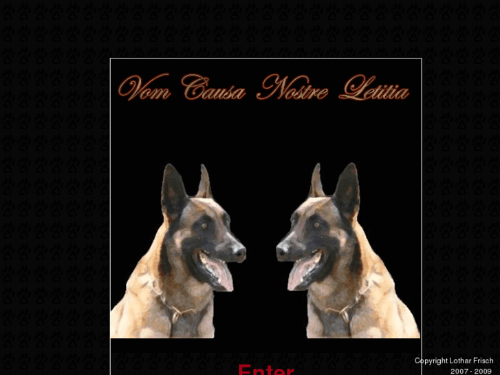 www.vom-causanostreletitia.com