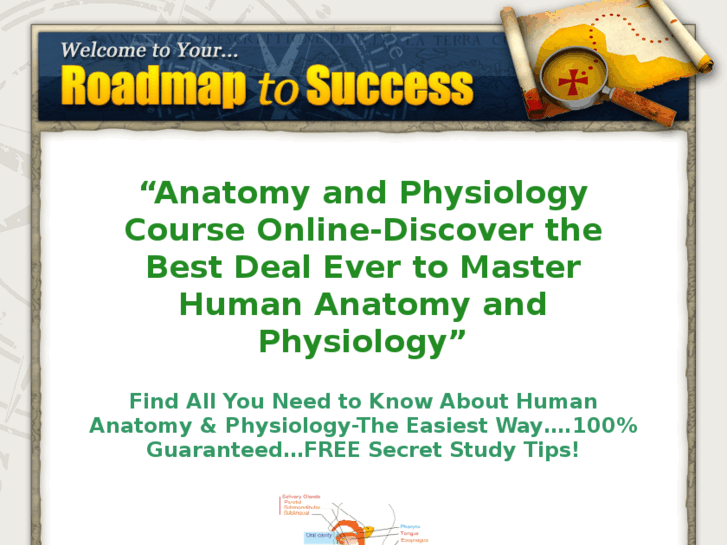 www.anatomyandphysiologycourseonline.org