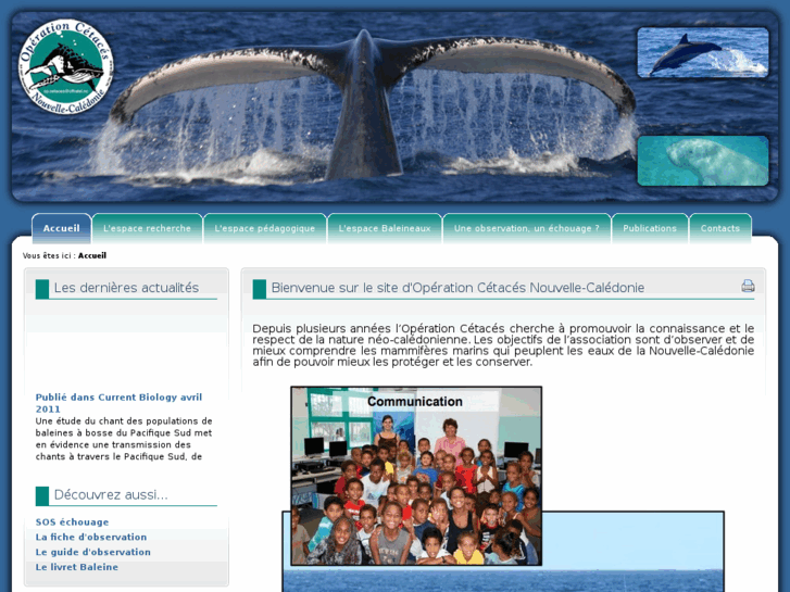 www.operationcetaces.com