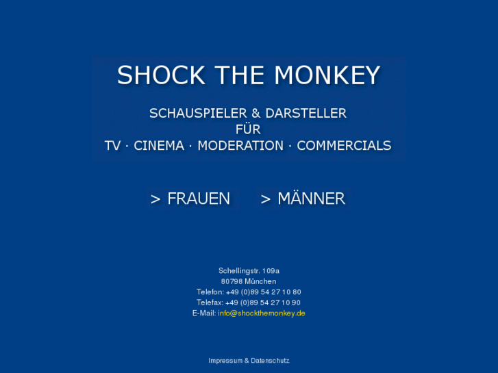 www.shockthemonkey.de