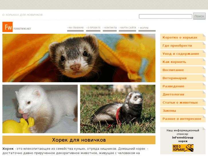 www.ferretwiki.net
