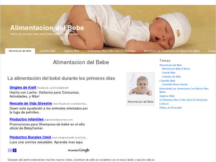 www.alimentaciondelbebe.com